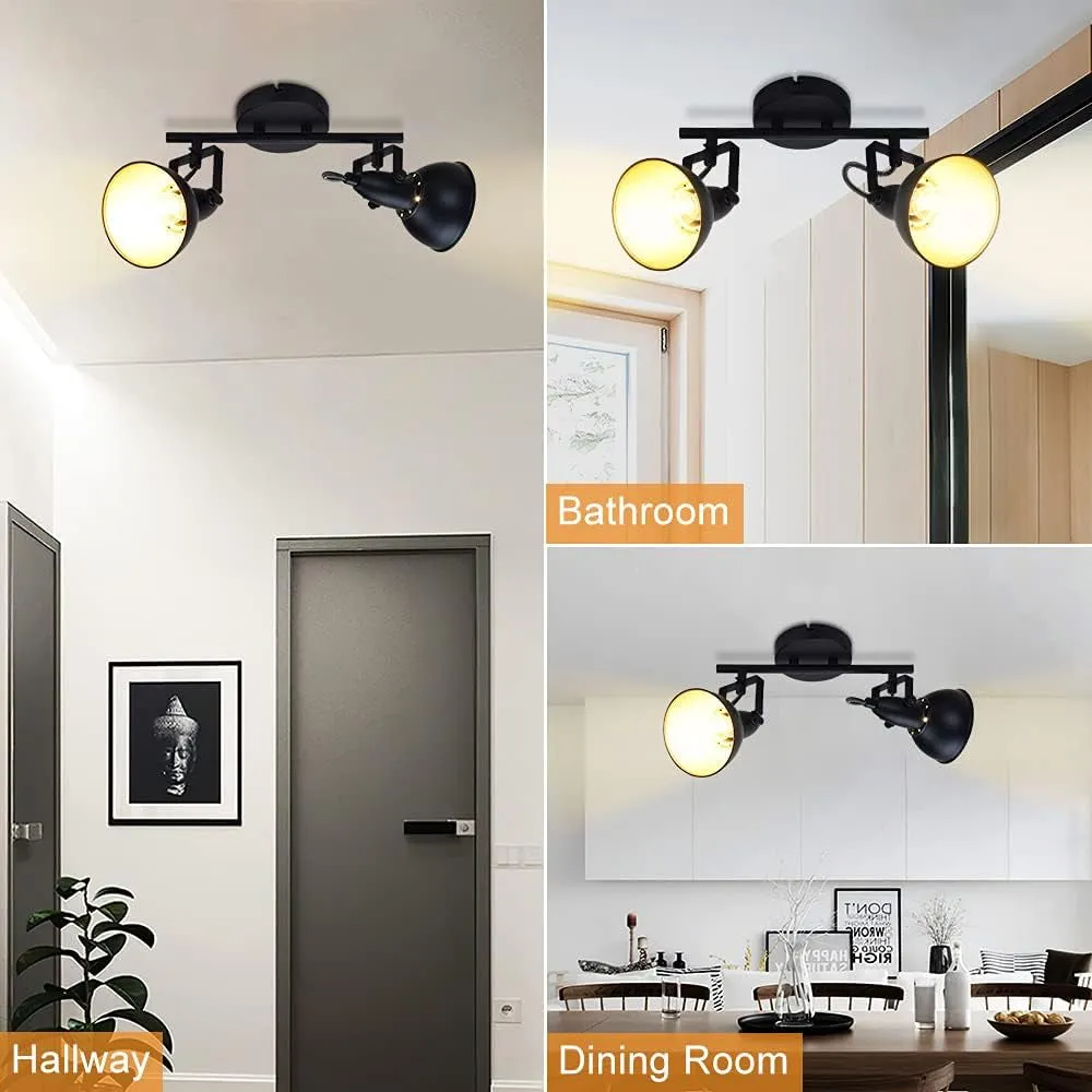 Industrial Track Light: 2-Light Adjustable Wall Spotlight